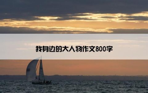 我身边的大人物作文800字