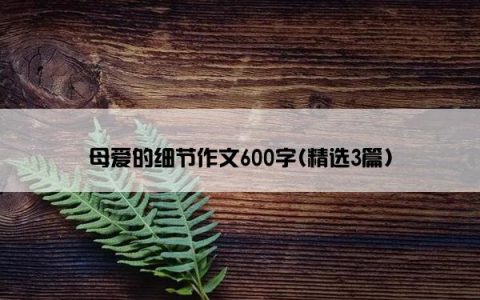 母爱的细节作文600字(精选3篇)