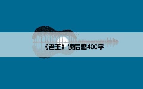 《老王》读后感400字