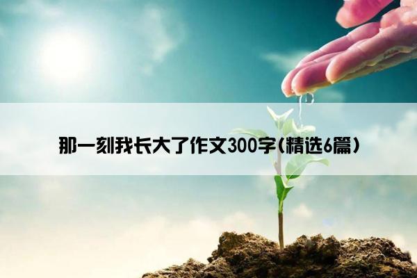 那一刻我长大了作文300字(精选6篇)