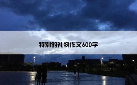 特别的礼物作文600字
