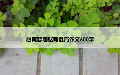 心有梦想必有远方作文600字