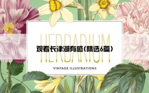 观看长津湖有感(精选6篇)