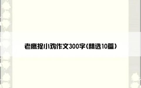 老鹰捉小鸡作文300字(精选10篇)