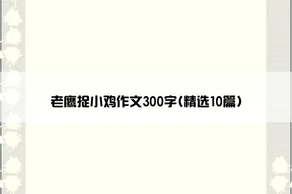 老鹰捉小鸡作文300字(精选10篇)