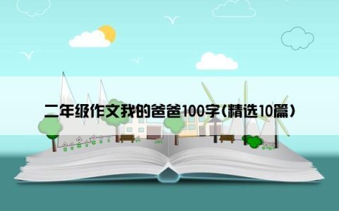 二年级作文我的爸爸100字(精选10篇)