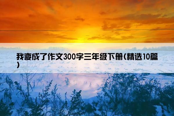 我变成了作文300字三年级下册(精选10篇)