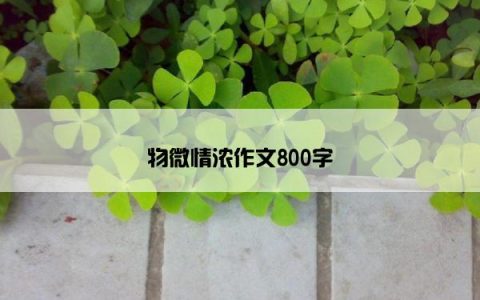 物微情浓作文800字