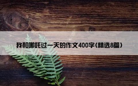 我和哪吒过一天的作文400字(精选8篇)