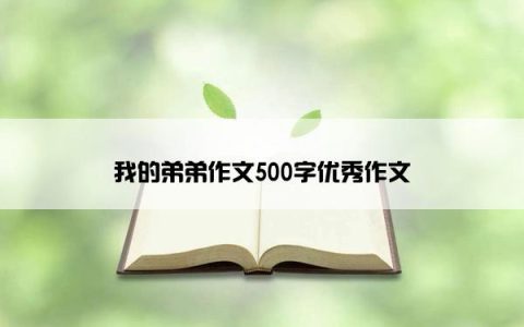 我的弟弟作文500字优秀作文