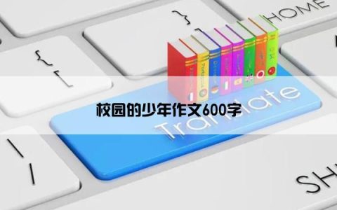 校园的少年作文600字