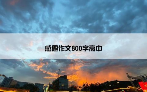 感恩作文800字高中