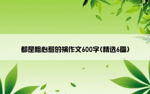 都是粗心惹的祸作文600字(精选6篇)