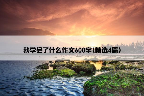 我学会了什么作文600字(精选4篇)