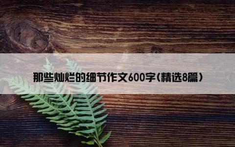 那些灿烂的细节作文600字(精选8篇)