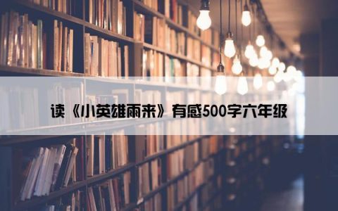 读《小英雄雨来》有感500字六年级