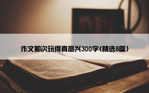 作文那次玩得真高兴300字(精选8篇)