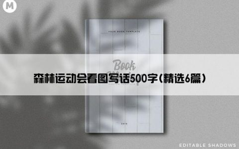 森林运动会看图写话500字(精选6篇)