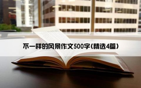 不一样的风景作文500字(精选4篇)