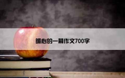 暖心的一幕作文700字