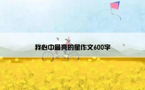 我心中最亮的星作文600字