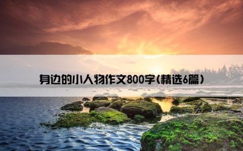 身边的小人物作文800字(精选6篇)