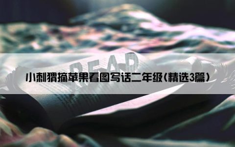 小刺猬摘苹果看图写话二年级(精选3篇)