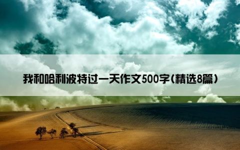 我和哈利波特过一天作文500字(精选8篇)
