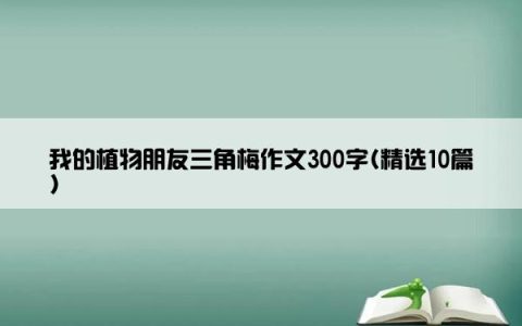 我的植物朋友三角梅作文300字(精选10篇)