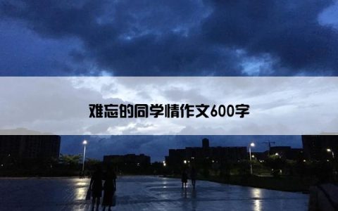 难忘的同学情作文600字