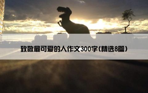 致敬最可爱的人作文300字(精选8篇)