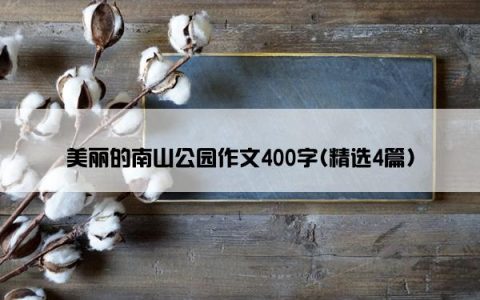 美丽的南山公园作文400字(精选4篇)